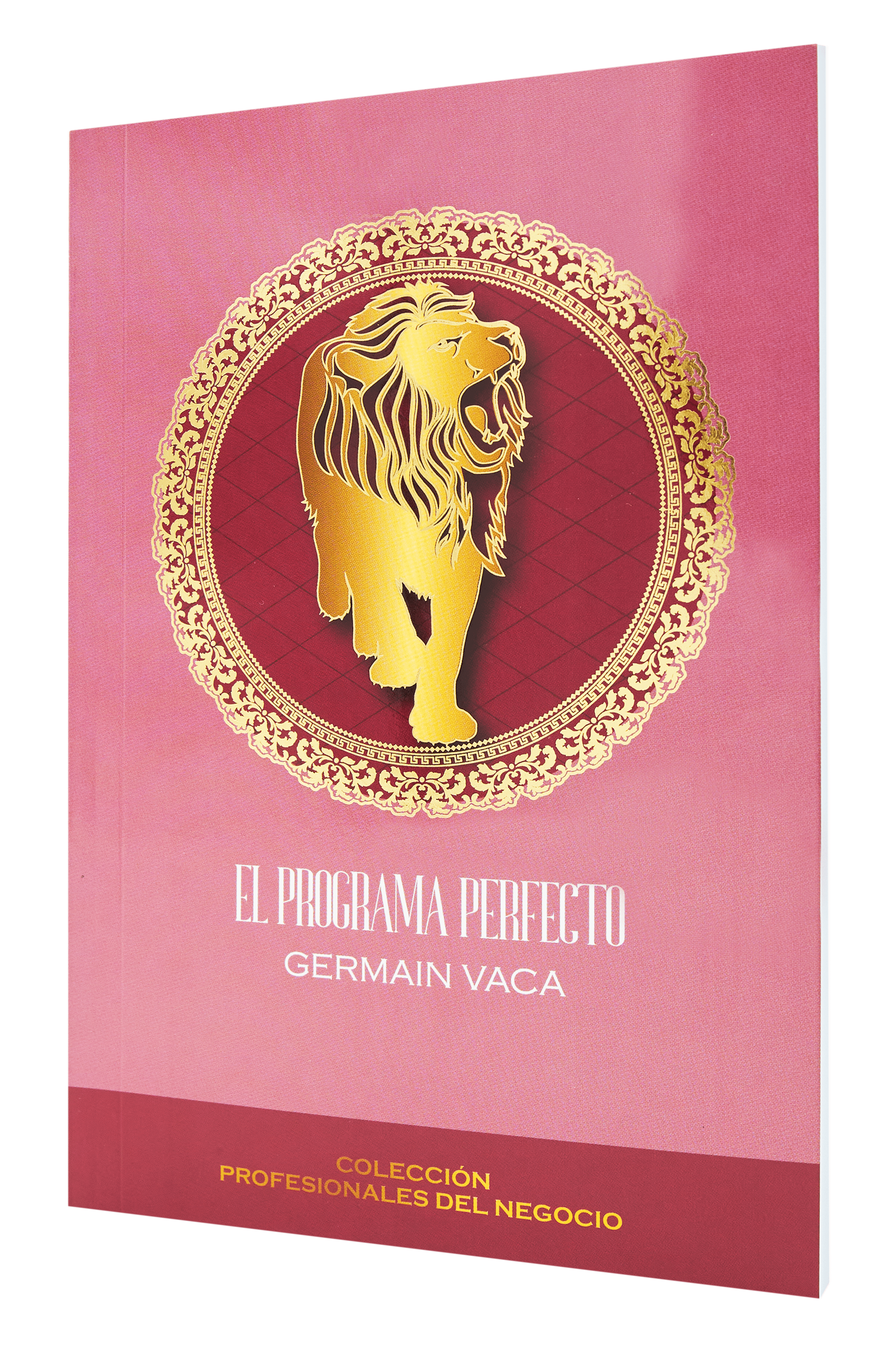 EL PROGRAMA PERFECTO