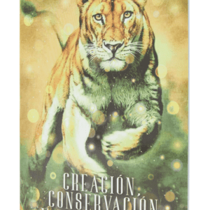 MANUAL DEL CURSO CREACIÓN, CONSERVACIÓN Y DESTRUCCIÓN